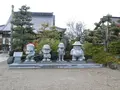 光禅寺の写真_171514
