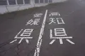 四国カルストの写真_171664
