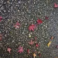 北川村「モネの庭」マルモッタンの写真_171704