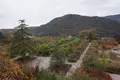 北川村「モネの庭」マルモッタンの写真_171707