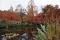 北川村「モネの庭」マルモッタンの写真_171710
