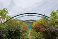 北川村「モネの庭」マルモッタンの写真_171712