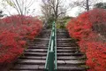 北川村「モネの庭」マルモッタンの写真_171723