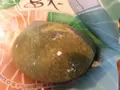 茶匠藤岡園の写真_171776