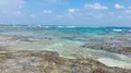 土盛海岸の写真_171874