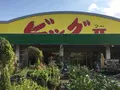 ビッグツー奄美店の写真_171901