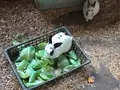 ビッグツー奄美店の写真_171903