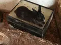 ビッグツー奄美店の写真_171906