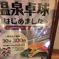 天然戸田温泉彩香の湯の写真_171995