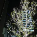 名駅４丁目９−８の写真_172579