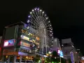 大津通の写真_172634