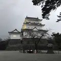 小田原城の写真_172652