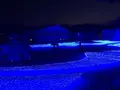 十和田市現代美術館の写真_172863