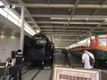 京都鉄道博物館の写真_173731