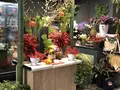 函館 蔦屋書店の写真_173950