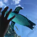 とべ動物園の写真_174050