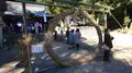 伊豆山神社の写真_174076