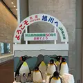 旭川駅の写真_174131