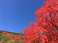 旭岳の写真_174141