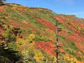旭岳の写真_174152