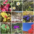 旭岳の写真_174153
