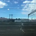 旭川市 旭山動物園の写真_174154