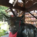 北野天満神社の写真_174190