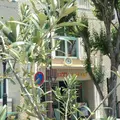 タリーズコーヒー 神戸北野坂店の写真_174195