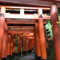 伏見稲荷大社の写真_174197