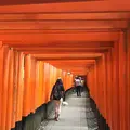 伏見稲荷大社の写真_174199