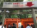 伏見稲荷大社の写真_174204