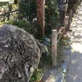 哲学の道の写真_174223