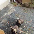 七味温泉の写真_174226