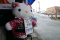 宮川朝市の写真_174276