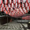 多度大社（北伊勢大神宮）の写真_174365
