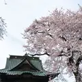 慈眼寺の写真_174436