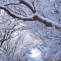 雲仙ロープウェイの写真_174629