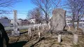 権現堂公園の写真_174637