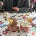 愛知牧場の写真_174765