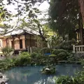 八十場の湧泉の写真_174782
