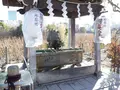 不忍池辯天堂の写真_174805