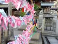若宮八幡社の写真_175410