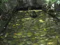 熱田神宮の写真_175458