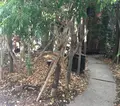 グリーンハウスシルバ （GREEN HOUSE Silva）の写真_175734