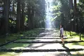 平泉寺白山神社の写真_175856