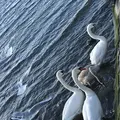 相馬市の写真_176094