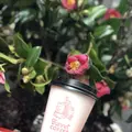 Turret Coffee （ターレットコーヒー）の写真_176335