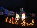 兵庫県立フラワーセンターの写真_176600