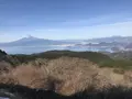 だるま山高原レストハウスの写真_176643