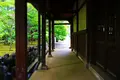 豪徳寺の写真_176718